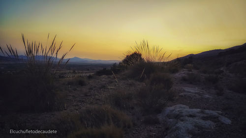 Scenic view of field against sky during sunset