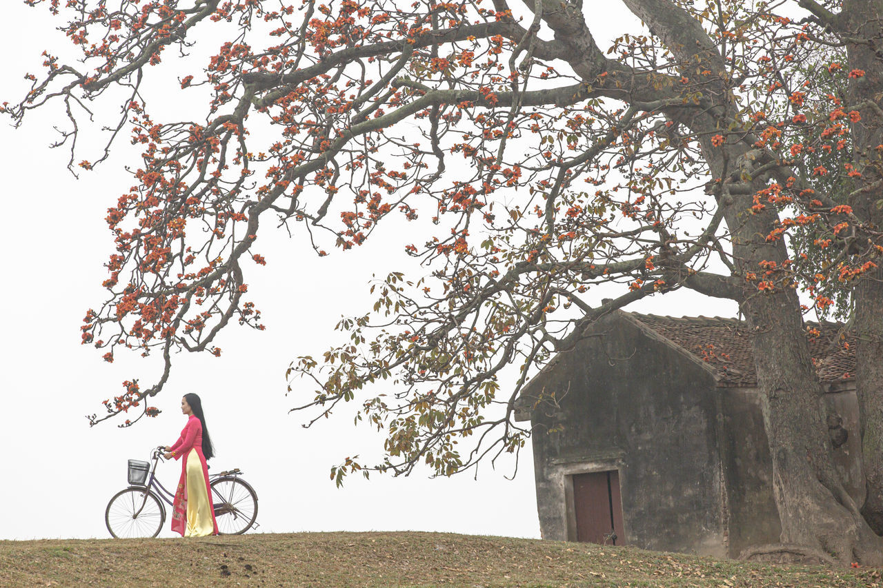 tree, plant, bicycle, architecture, nature, transportation, one person, built structure, flower, building exterior, sky, cycling, day, building, mode of transportation, adult, rural scene, outdoors, landscape, lifestyles, bicycle wheel, activity, leisure activity, house, land vehicle, full length, branch, men, growth, sports, vehicle, land, riding, beauty in nature, rural area