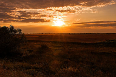 Scenic view of field against sky during sunset