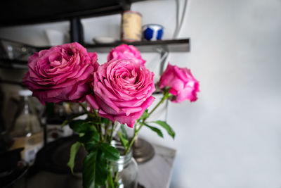 Close-up of pink roses in vase