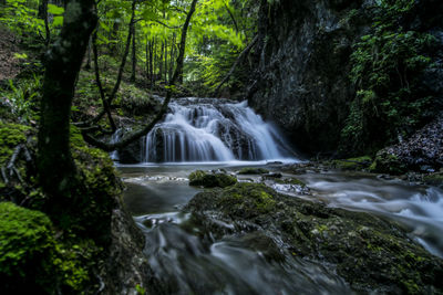 Waterfall in forest