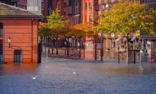 Elbe flood and storm surge at the st. pauli fish market