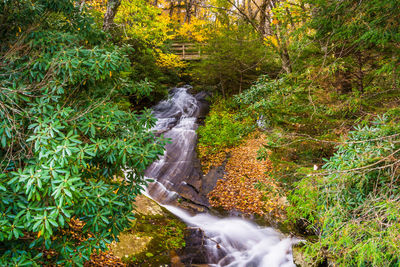 Waterfall in forest