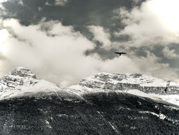 Birds flying over snowcapped mountains against sky