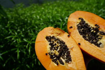 Close-up of orange slice