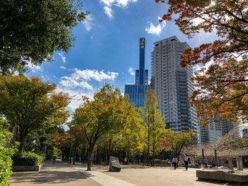 Trees by modern buildings against sky during autumn