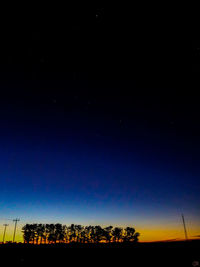 Low angle view of silhouette trees against sky at night