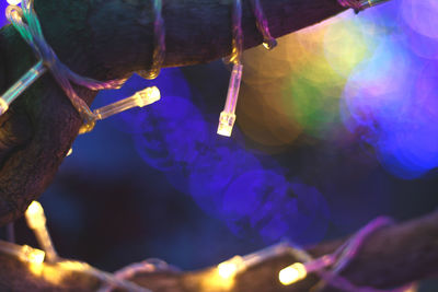 Close-up of illuminated lighting equipment hanging on tree