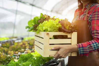 Midsection of woman holding plant