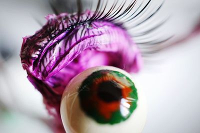 Close-up of pink flowers