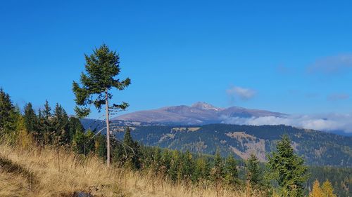 Scenic view of landscape against blue sky
