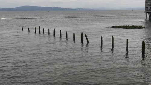 Wooden posts in sea against sky