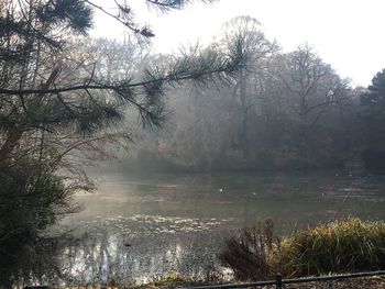 Reflection of trees in lake against sky