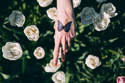 Close-up of hand with tulips