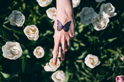 Close-up of hand with roses