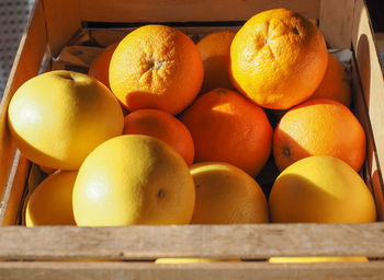 Close-up of oranges