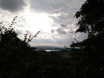 Low angle view of silhouette trees against sky
