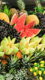 High angle view of orange fruits on plant