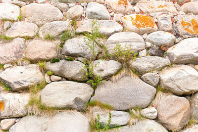 Full frame shot of stone wall