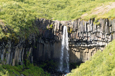 Scenic view of waterfall