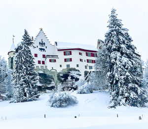 Snow covered tree by building against sky