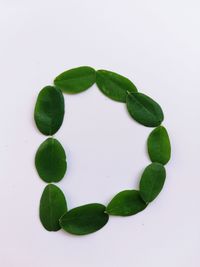 High angle view of green leaves on white background