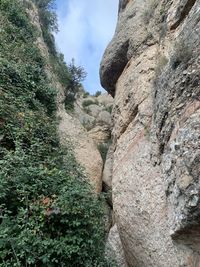 Low angle view of rock formation amidst trees against sky