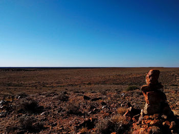 Scenic view of field against clear sky