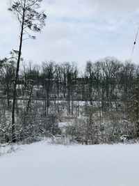 Bare trees on field against sky during winter