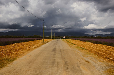 Road amidst agricultural field against sky