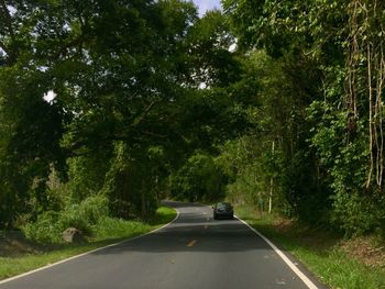 Road passing through country road