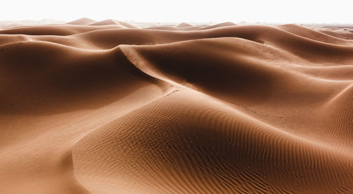 Scenic view of desert