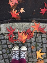 Low section of person standing on autumn leaves