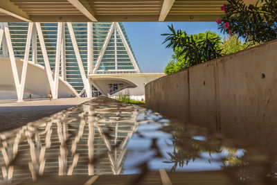 Reflection of building at city of the arts and sciences