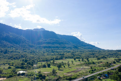 Scenic view of trees on field against sky