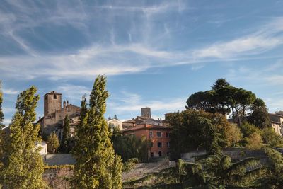 Trees and cityscape against sky