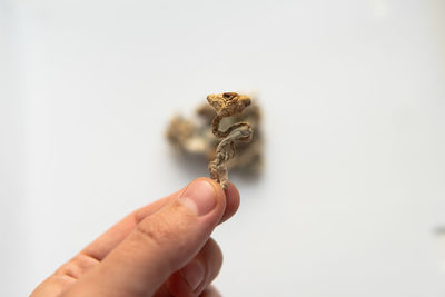 Close-up of hand holding cross against white background