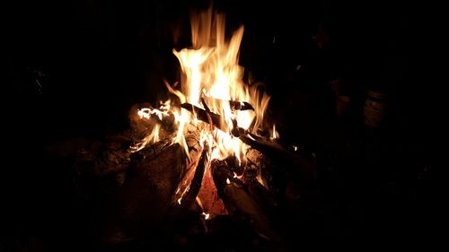 Campfire on field at night