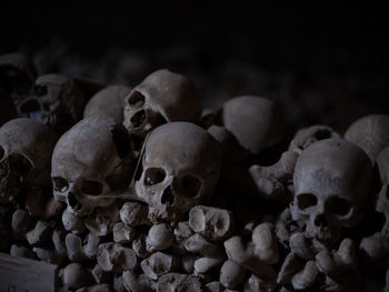 Close-up of human skull in cemetery