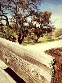 Close-up of wooden fence by trees