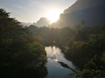 Scenic view of river in forest against sky