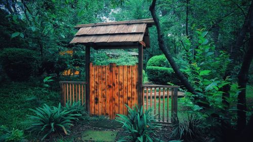 Wooden house amidst trees in forest