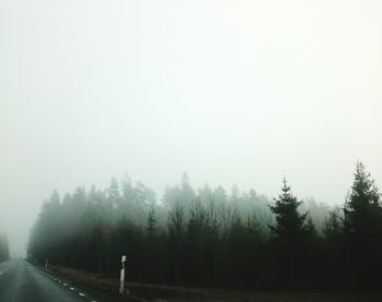 Trees on landscape against sky