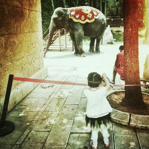 Close-up of woman standing in pond