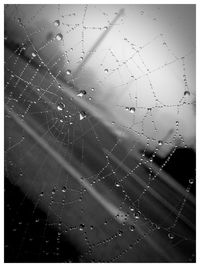 Close-up of water drops on glass