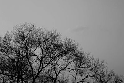 Low angle view of bare tree against clear sky
