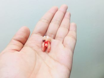 Cropped hand of person holding broken tooth