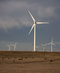 Wind turbines in field against cloudy blue sky at sunset