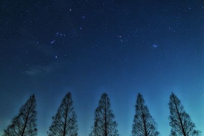Low angle view of trees against blue sky