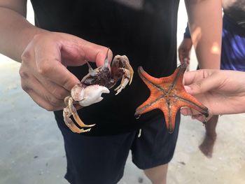 Midsection of man holding fish